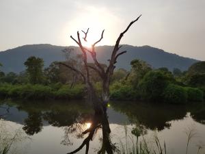 Sri Lanka 15-31 Mars