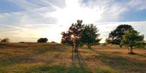 Skåne/Haväng 10-19 Juli