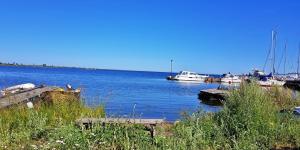 Torhamn
