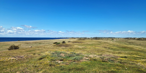 Södra Öland