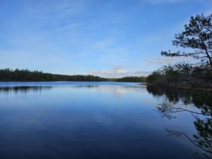 Höstvandringar 2025