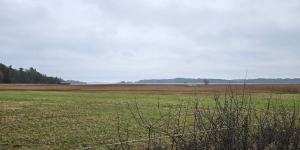 Höstvandring 3