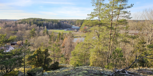 Höstvandring 5