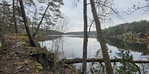 Höstvandring 8