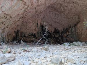 Del 2 bla Garganta Verde