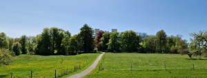 Bogesund och Vaxholm 19-20 Maj