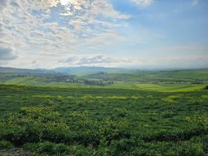 Toscana sammanfattning