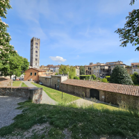 Lucca
